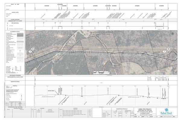 1657-PL-DG-70197-005, STA. 212+00 TO STA. 265+00, MP 4.02, 36-inch PIPELINE, 222+06 CL EPHESUS ROAD, TALLAPOOSA COUNTY, ALABAMA