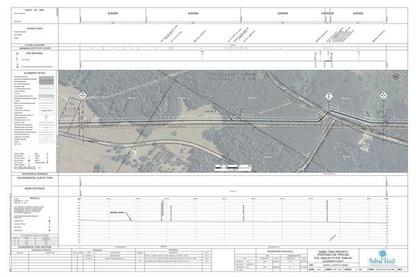 1657-PL-DG-70197-064, STA. 3336+00 TO STA. 3389+00, MP 63.18, MP 64, MP 64.19, 3378+87 CL CR-27 (BROWN ROAD), KINDER MORGAN PIPELINE, RUSSELL COUNTY, ALABAMA