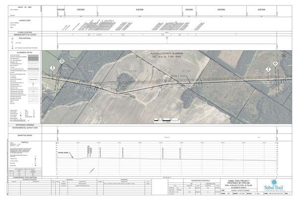 1657-PL-DG-70197-079, STA. 4120+00 TO STA. 4173+00, MP 78, MP 79, MP 79.03, KINDER MORGAN PIPELINE, LYNN ROAD, RUSSELL COUNTY, ALABAMA