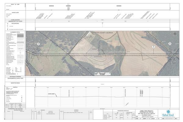 1657-PL-DG-70197-112, STA. 5867+00 TO STA. 5920+00, MP 111.12, MP 112, MP 112.12, KINDER MORGAN PIPELINE, WEBSTER COUNTY, GEORGIA