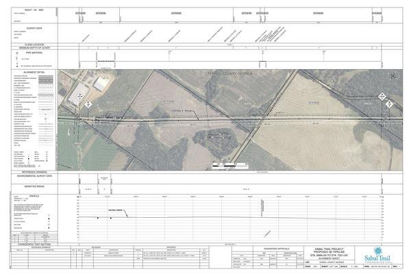 1657-PL-DG-70197-133, STA. 6968+00 TO STA. 7021+00, MP 131.97, MP 132, MP 132.97, MP 133, KINDER MORGAN PIPELINE, BUCK JONES ROAD, JENNINGS ROAD), TERRELL COUNTY, GEORGIA