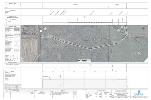 1657-PL-DG-70197-156, STA. 8186+00 TO STA. 8226+00, MP 155, MP 155.04, MP 155.8, 8194+26 DIXIE PIPELINE, DOUGHERTY COUNTY, GEORGIA