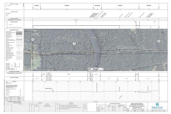 1657-PL-DG-70197-164, STA. 8589+00 TO STA. 8642+00, MP 162.67, MP 163.67, CL STREAM (FLINT RIVER), KINDER MORGAN PIPELINE, DOUGHERTY COUNTY, GEORGIA