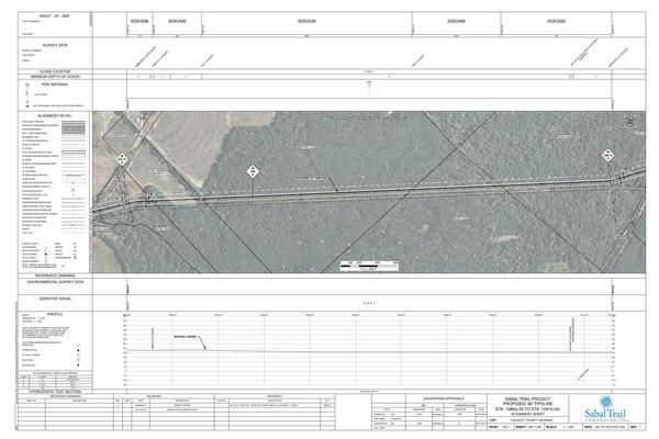 1657-PL-DG-70197-208, STA. 10863+00 TO STA. 10916+00, MP 205.74, MP 206, MP 206.74, Tributary of Hog Creek, COLQUITT COUNTY, GEORGIA, 31.066021, -83.725239