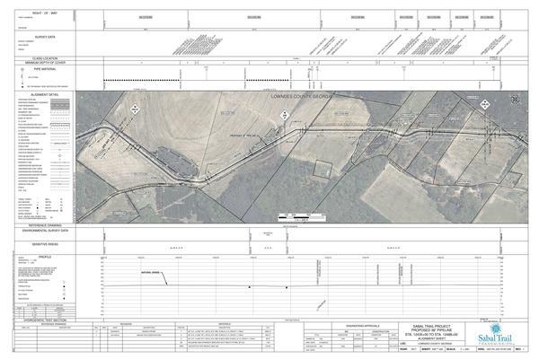 1657-PL-DG-70197-238, STA. 12435+00 TO STA. 12488+00, MP 235.51, MP 236, MP 236.52, PIPELINE (3.1' COV.), McGoggle Road, LOWNDES COUNTY, GEORGIA, 30.757452, -83.405023