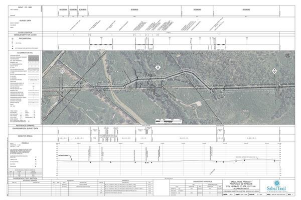 [1657-PL-DG-70197-251, STA. 13124+00 TO STA. 13177+00, MP 248.56, MP 249, MP 249.56, KINDER MORGAN PIPELINE, PIPELINE (2.8' COV.), JUMPING GULLY CREEK), GA-FL Line, LOWNDES & HAMILTON COUNTIES, GEORGIA & FLORIDA, 30.628112, -83.267961]