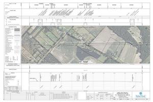 [1657-PL-DG-70197-245, STA. 12806+00 TO STA. 12859+00, MP 242.54, MP 243, MP 243.54, 12832+48 CL BLAND DAIRY ROAD, Bland Dairy Drive, Clyattville-NANKIN ROAD, LOWNDES COUNTY, GEORGIA, 30.689761, -83.336154]