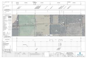 [1657-PL-DG-70197-317, STA. 16593+00 TO STA. 16646+00, MP 314.26, MP 315.27, NW 80TH STREET, NW 87th Pl, FGT PIPELINES88 36-inch 88, A-FL-GI-031.0, 16629+72 30-inch FGT PIPELINE, 16629+26 36-inch FGT PIPELINE, GILCHRIST COUNTY, FLORIDA, 29.862632, -82.850142]