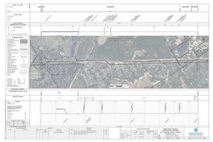 [1657-PL-DG-70197-329, STA. 17206+00 TO STA. 17259+00, MP 325.87, MP 326, MP 326.87, 36-inch PIPELINE, GILCHRIST COUNTY, FLORIDA]