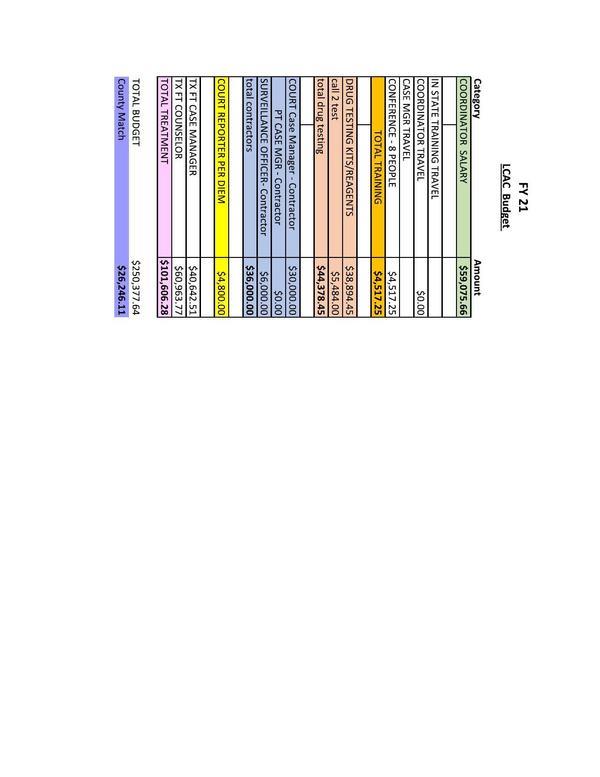 FY 21 LCAC Budget