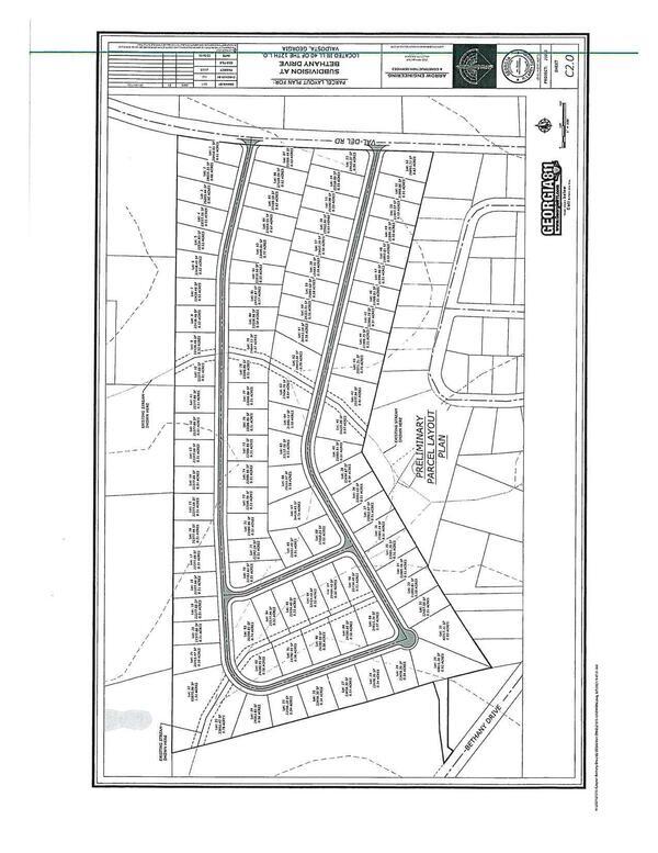 Preliminary Parcel Plan: shows two streams through it