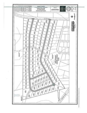 [Preliminary Parcel Plan: shows two streams through it]