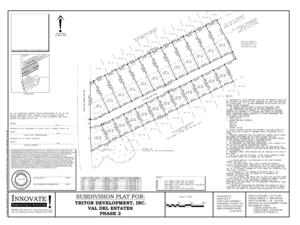 [Subdivision Plat]