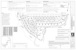 [Subdivision Plat]