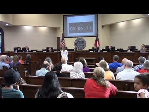 [9. CWTBH - Elizabeth Flail - 1209 Ravenwood Circle - data center placement]