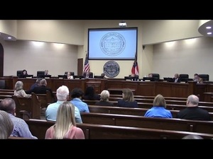 [5.c. Appointment - Valdosta-Lowndes County Land Bank Authority]