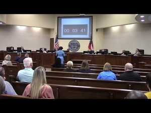 [8. CWTBH - Kristina Cheek McBride - Maternal Health Issues]