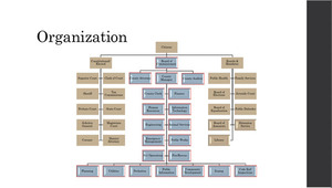 [Organization]